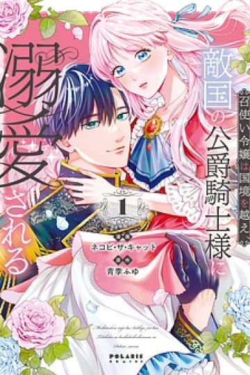 Meshitsukai Reijou Wa Kokkyou Wo Koe, Tekikoku No Koushaku Kishi-Sama Ni Dekiaisareru
