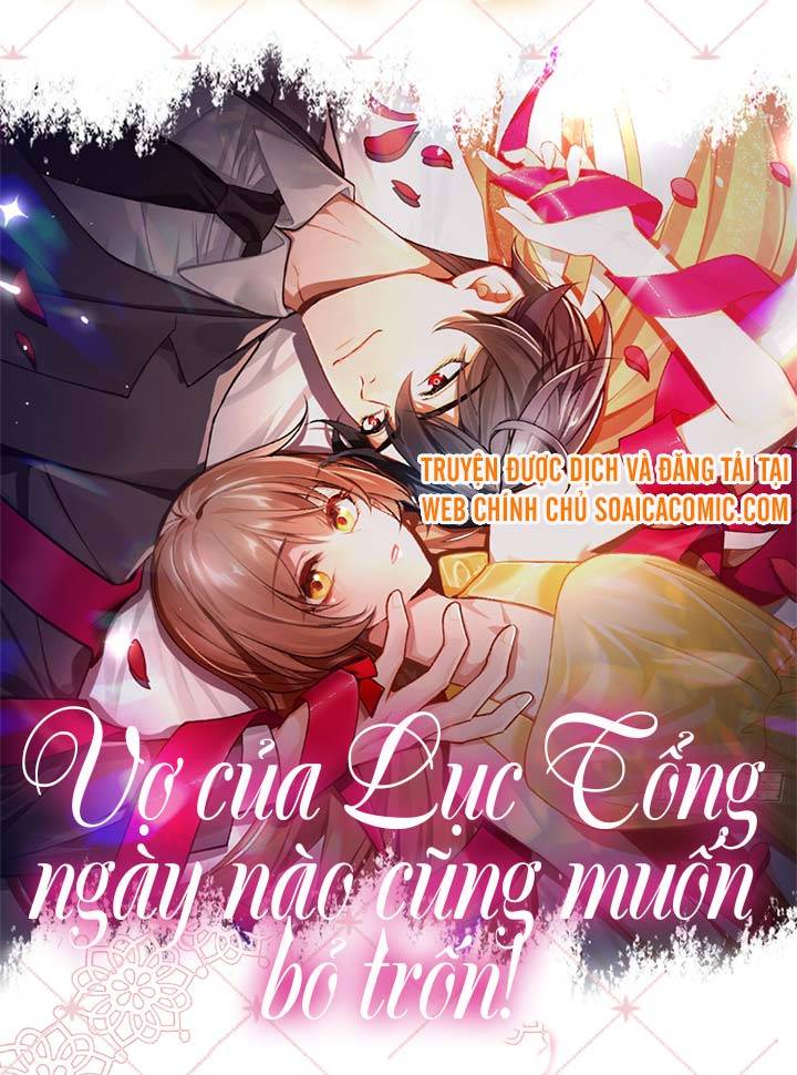 Vợ Của Lục Tổng Ngày Nào Cũng Muốn Bỏ Trốn